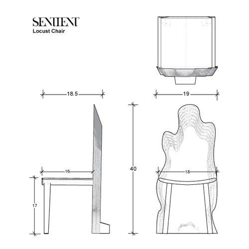 a black and white line rendering with measurements of a SENTIENT contemporary designed custom locust live edge dinning chair