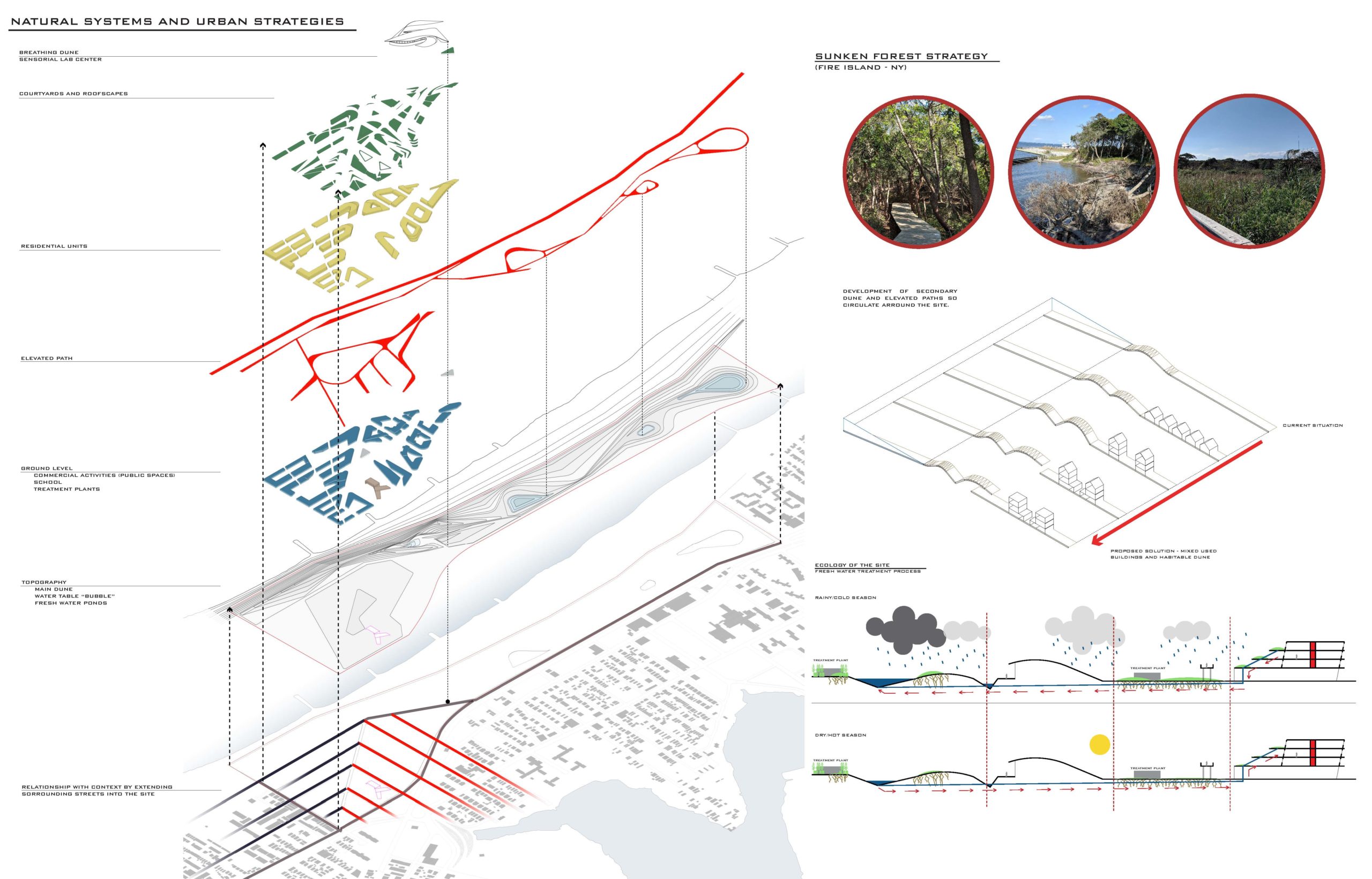 Architecture SENTIENT Deisgners of America Book and Projects Diana C. Erazo Garcia