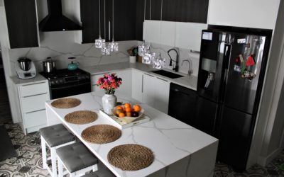 Paula Tarnacka C.I.D | Interior Design | Bartlet, IL