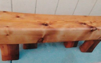 Katie L .Scutero | wood pile play | Loomis,. CA