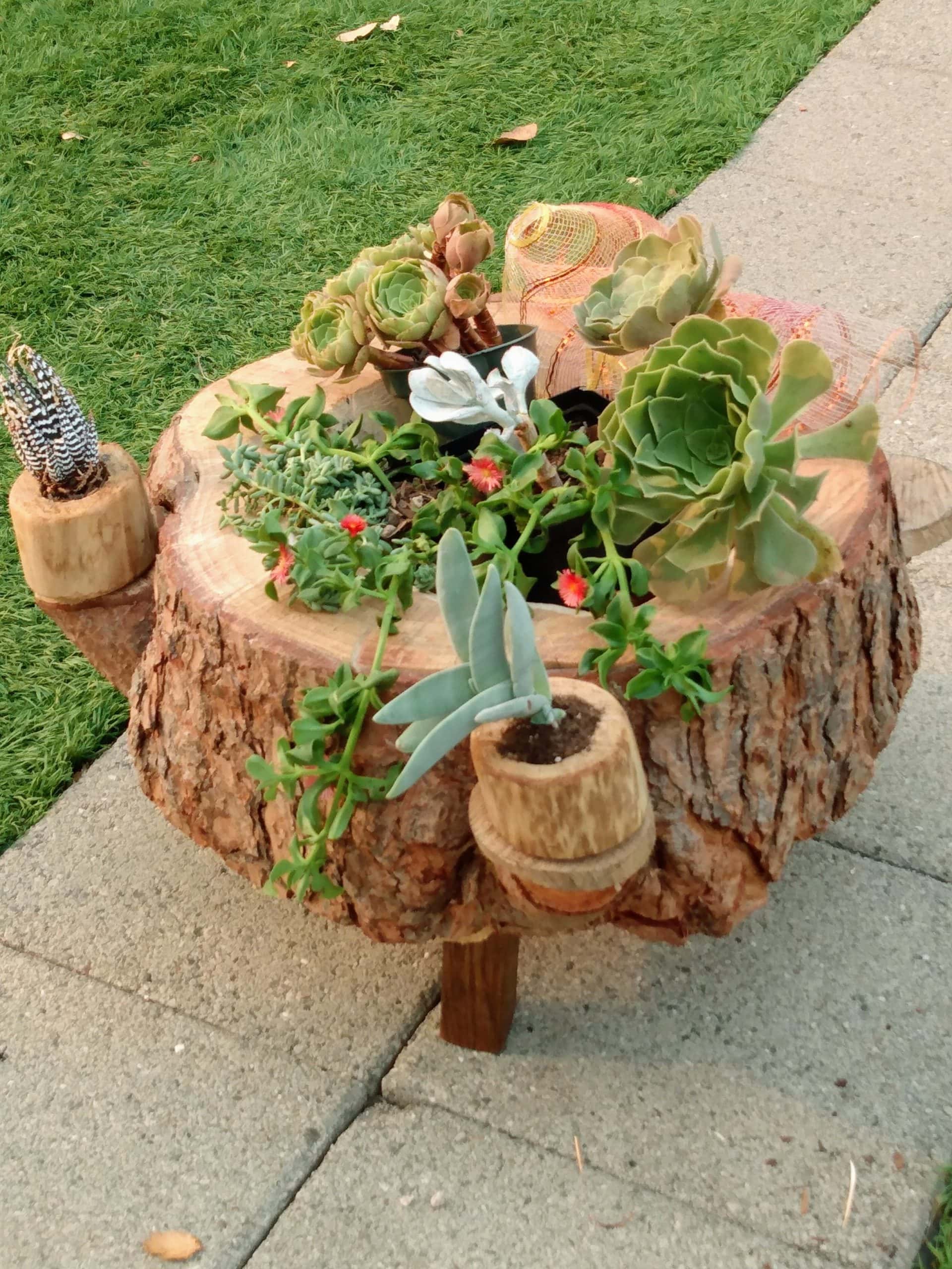 wood pile play SENTIENT Deisgners of America Book and Projects Katie L .Scutero