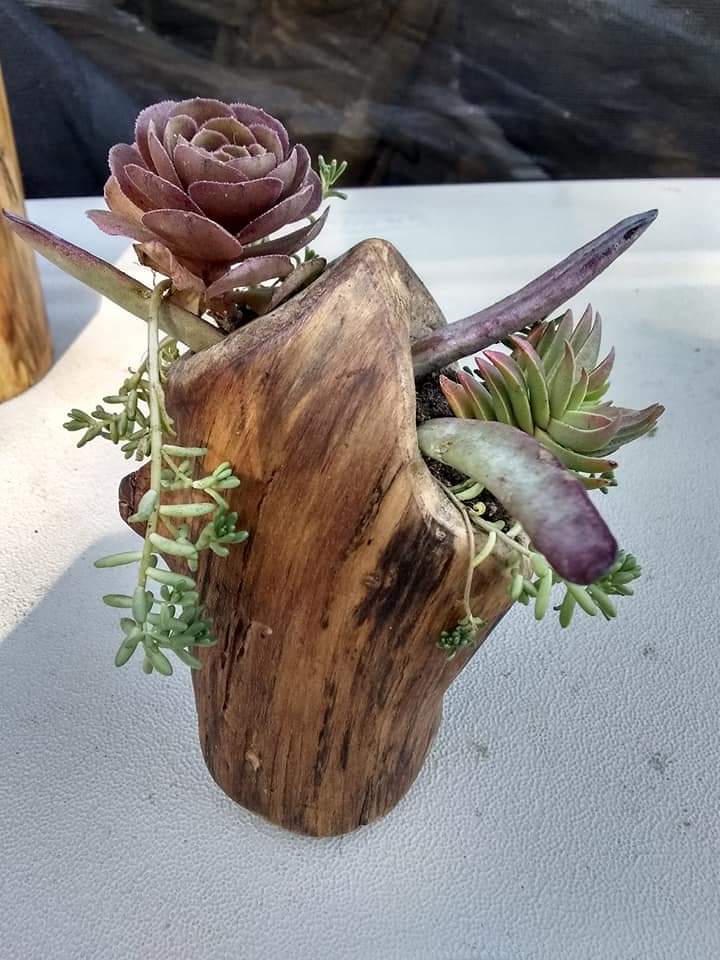 wood pile play SENTIENT Deisgners of America Book and Projects Katie L .Scutero